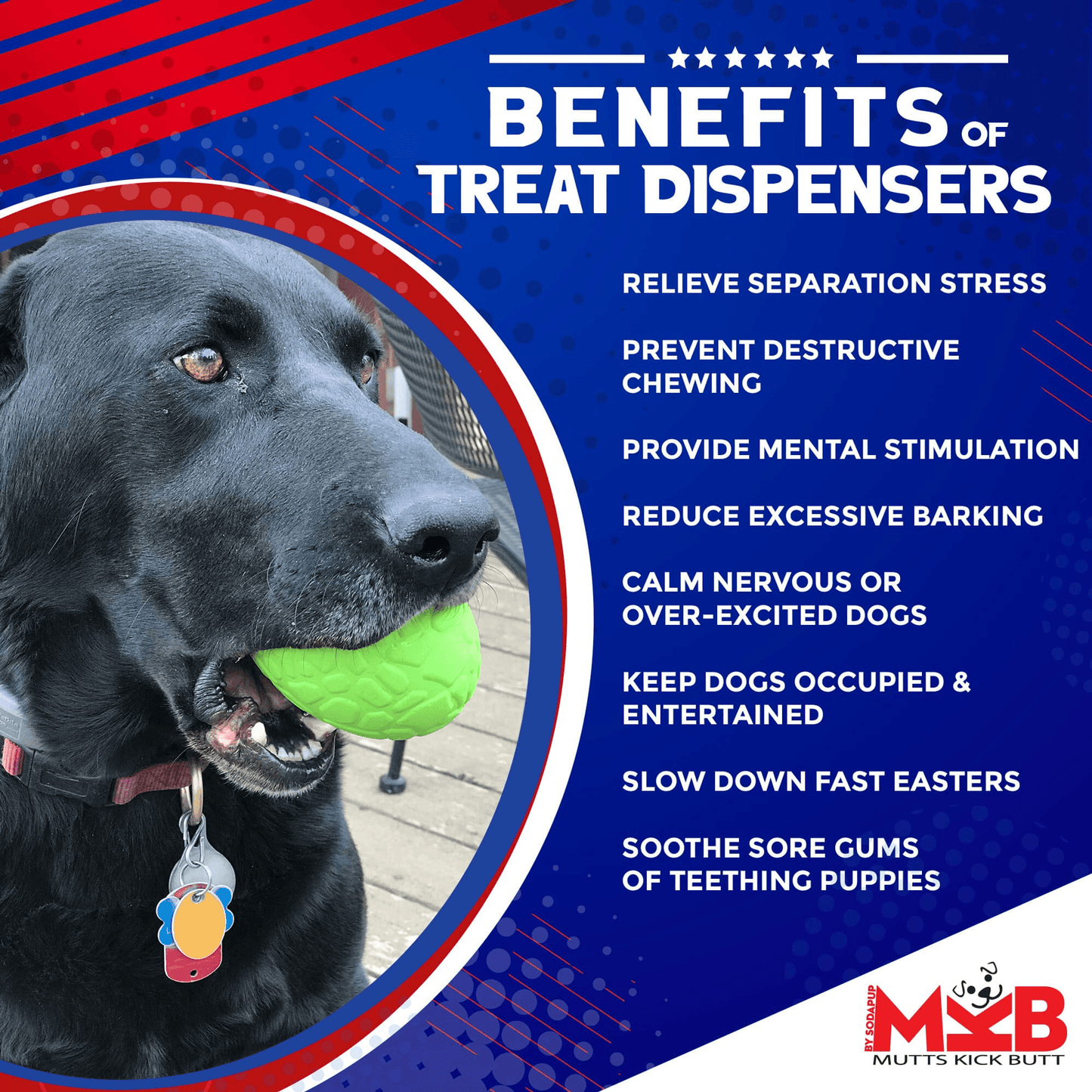 MKB Durable Chew Toy & Treat Dispenser - Dinosaur Egg for Power Chewers