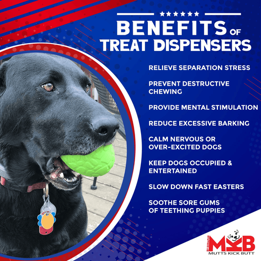 MKB Durable Chew Toy & Treat Dispenser - Dinosaur Egg for Power Chewers